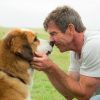 Scene uit A Dog's Purpose