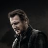 Liam Neeson in The Marksman