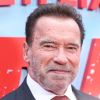 Een foto van Arnold Schwarzenegger