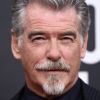 Pierce Brosnan