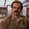 David Harbour in Stranger Things.