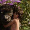 'The Jungle Book'