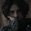 Timothee Chalamet in Dune