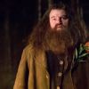 Een foto van Robbie Coltrane als Hagrid.