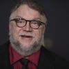 Een foto van Guillermo del Toro.