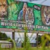 Menselijke resten op 'Tiger King'-dierentuin vals alarm