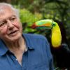 David Attenborough in zijn documentair 'Life in Colour'