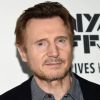Een foto van Liam Neeson
