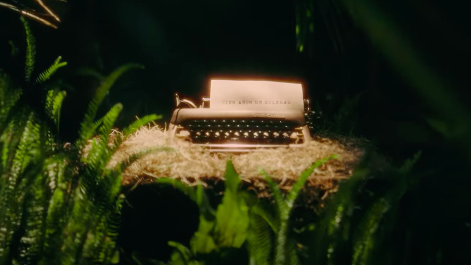 Netflix komt met serie gebaseerd op roman 'Honderd Jaar Eenzaamheid