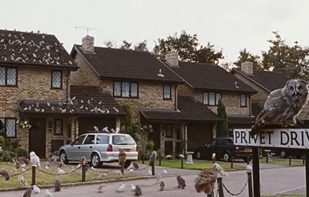 Harry Potter, film, fans