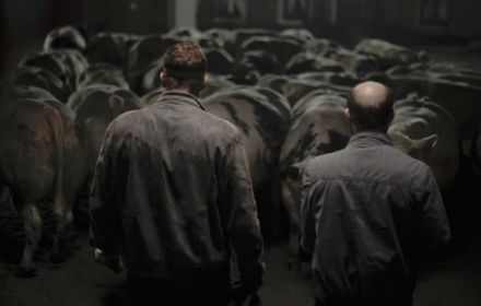 Een scene uit Rundskop.