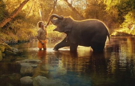 Een beeld uit 'The Elephant Whispereers'