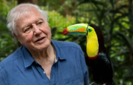 een foto van David Attenborough