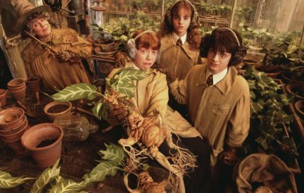 Een foto uit Harry Potter