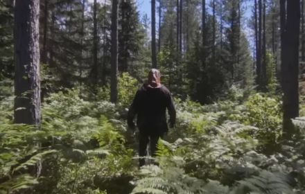 Luister, Reacties, Moviemeter