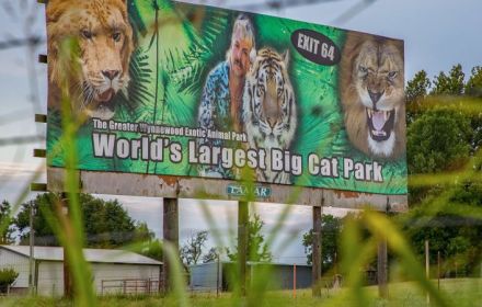 Menselijke resten op 'Tiger King'-dierentuin vals alarm