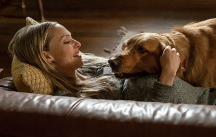 The Art of Racing in the Rain