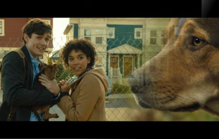 De film A Dog’s Way Home uit 2019 beleeft op dit moment een opmerkelijke heropleving op Netflix.