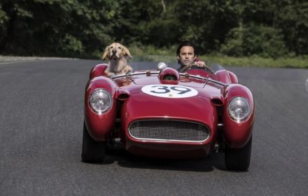 The Art of Racing in the Rain