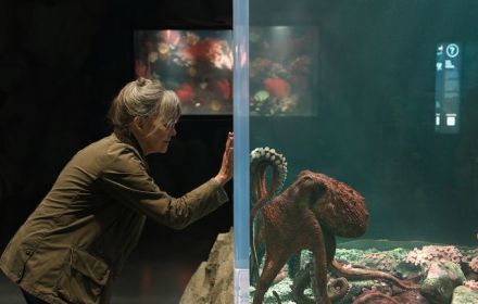 'Remarkably Bright Creatures'