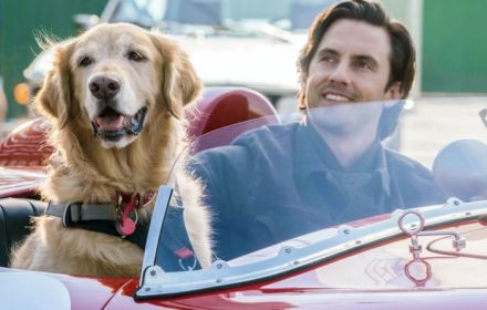 The Art of Racing in the Rain