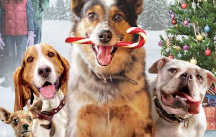Pups Alone het vervolg op de Home Alone films