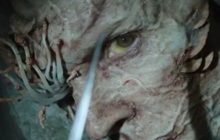 Schimmel, The Last of Us