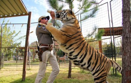 Tiger King