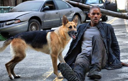 Will Smith en hond in I Am Legend