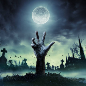 Avatar van Filmkonyn