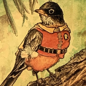 Avatar van robindapobin