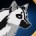 avatar van WolfMol