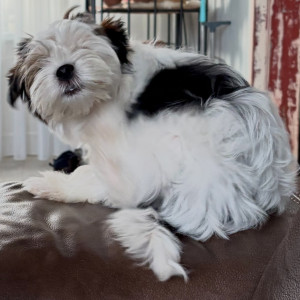 Avatar van Hannie-jetje