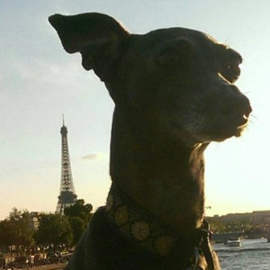 Avatar of lucia-Anita