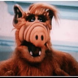 Avatar van GordonShumway