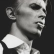 Avatar van Thin White Duke