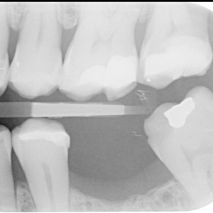 Avatar of Luc van Vliet