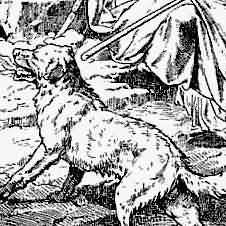 Avatar of Wolf Waldheim