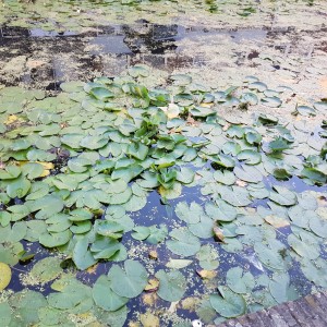 Avatar of hey_dillon