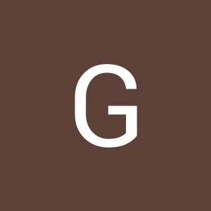 Avatar van Gert Jan Harmsen