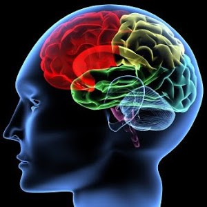 Avatar van Jan Chiel