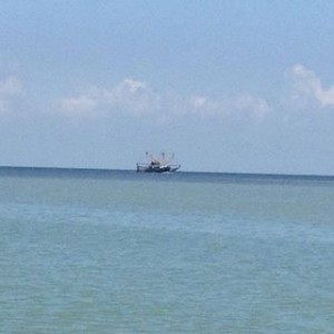 Avatar van Leo Brons