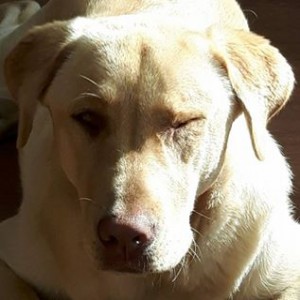 Avatar of Helga Frenken