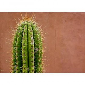 Avatar van Jessica Asdis Jarlsskald Ernstma