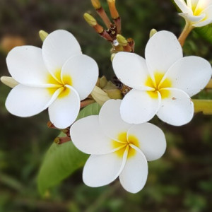 Avatar of Claudje'67