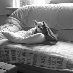 Avatar van Wendy Nieuwhart