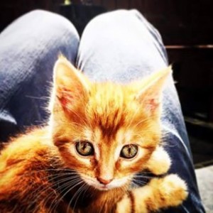 Avatar van Alex Oostermeyer