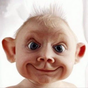 Avatar van Frans de Wit