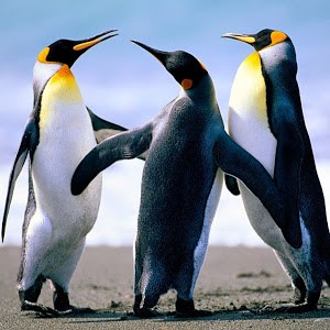 Avatar of Marjolein Lier