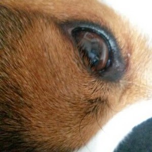 Avatar of Quinty Bish